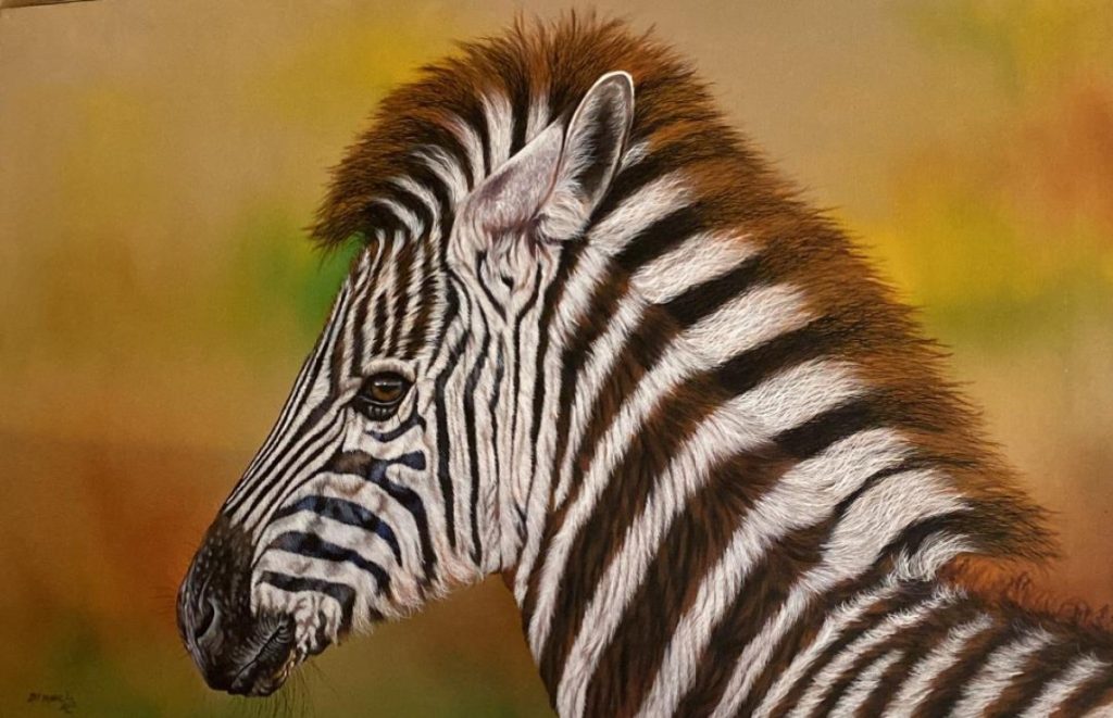 ZEBRA FOAL