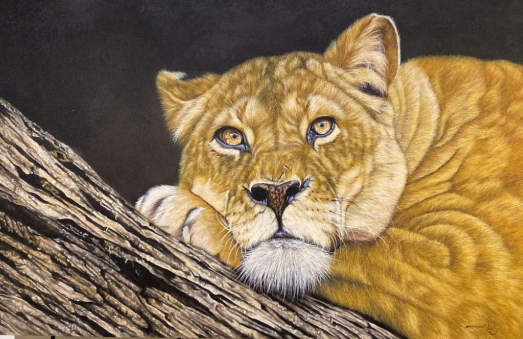 LION ON TREE