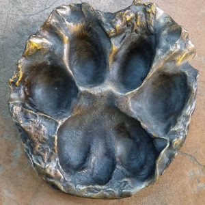 LION FOOT PRINT TRAY MUD (SUJ)