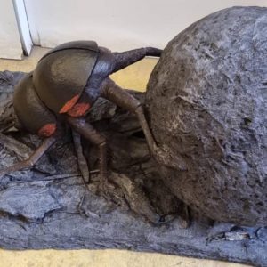 WOODEN DUNG BEETLE