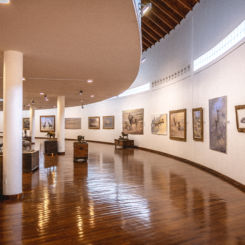 The Jane Goodall Museum: A New Chapter